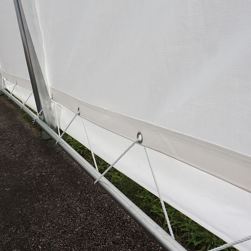 Garage portatile resistente per ricovero per auto doppio in PE da 6x6 m (20