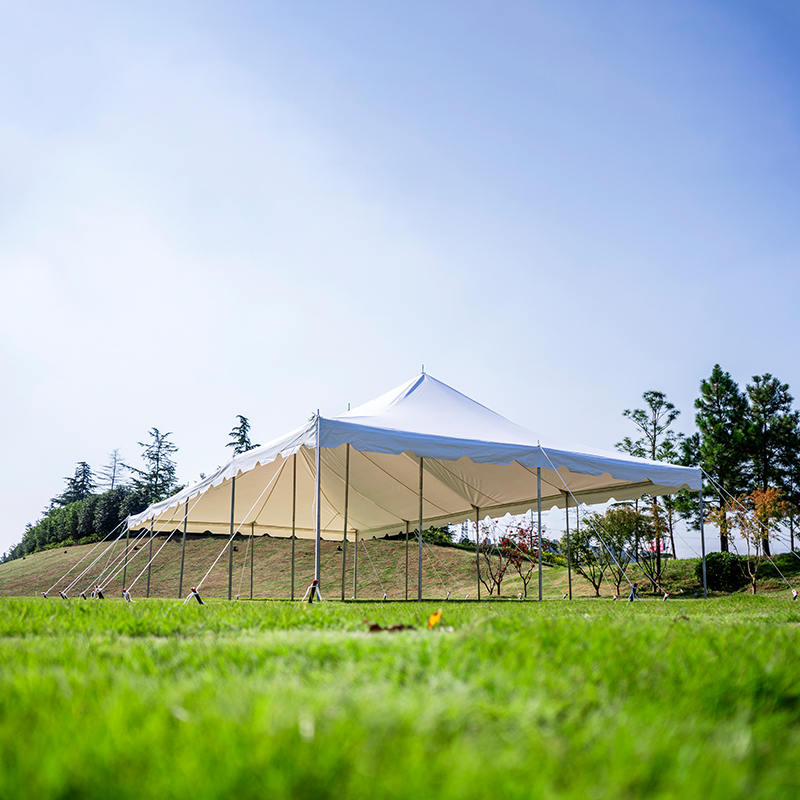 Tenda con palo a baldacchino in PVC da 20