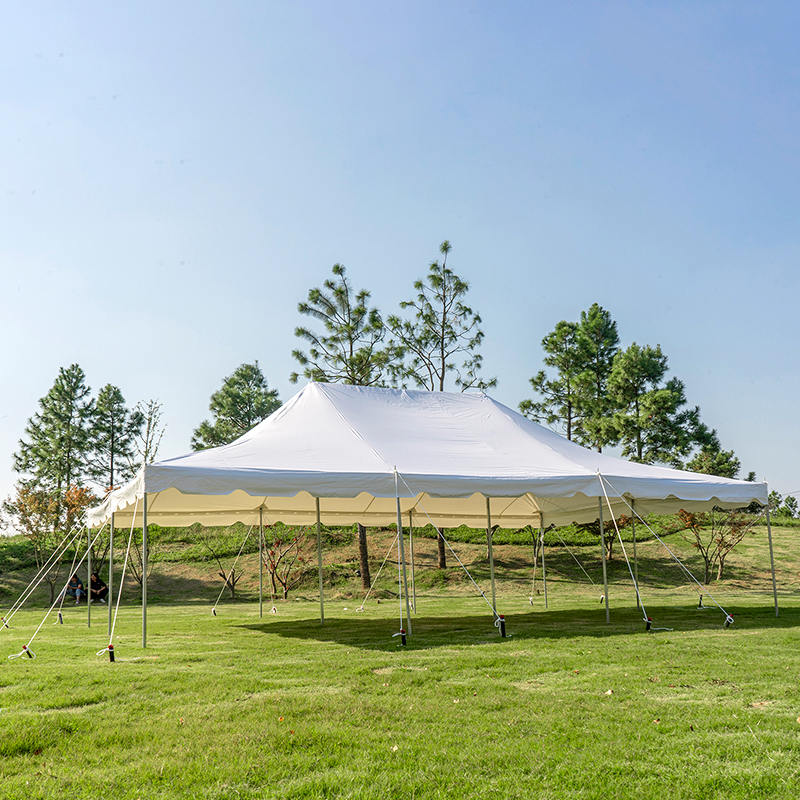 Tenda con palo per festa di matrimonio ignifuga in PVC da 20