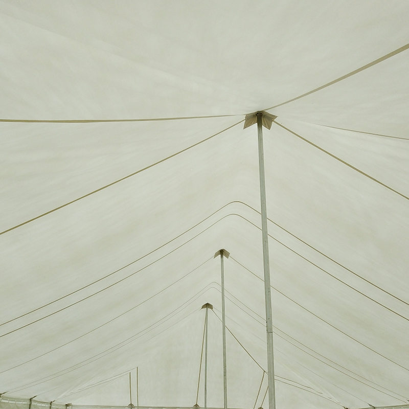 Tenda tradizionale con palo per eventi in PVC 7X12 m con finestre