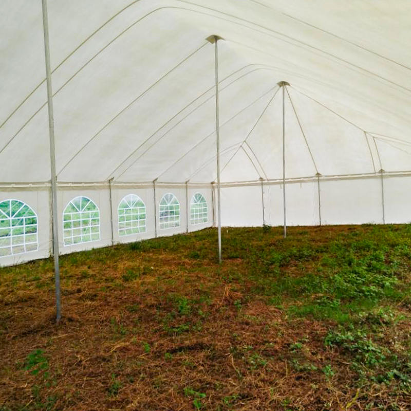 Tenda tradizionale con palo per eventi in PVC 7X12 m con finestre
