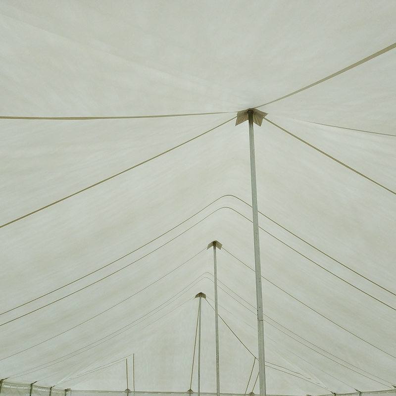 Tenda tradizionale con palo resistente in PVC 9X18 m