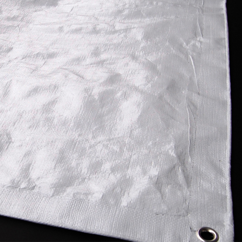 Teli in plastica flessibile rinforzata da 4x5 m per ricoveri temporanei